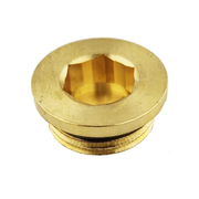 1/2" Blanking Plug with O-Ring